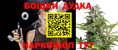 гидра Ставрополь