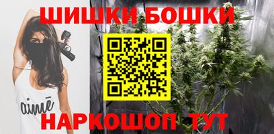 гидра Ставрополь
