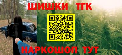 гидра Ставрополь
