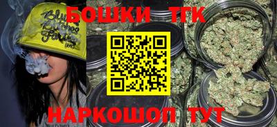 гидра Ставрополь