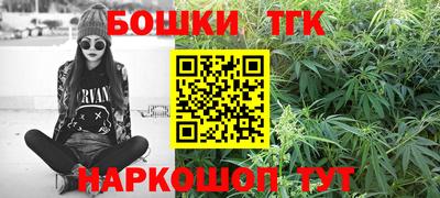 гидра Ставрополь