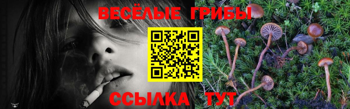 Галлюциногенные грибы GOLDEN TEACHER  Галлюциногенные грибы прущие грибы  Вход с VPN  Ахтубинск 