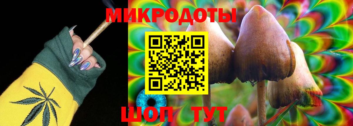 Псилоцибиновые грибы Cubensis Ахтубинск